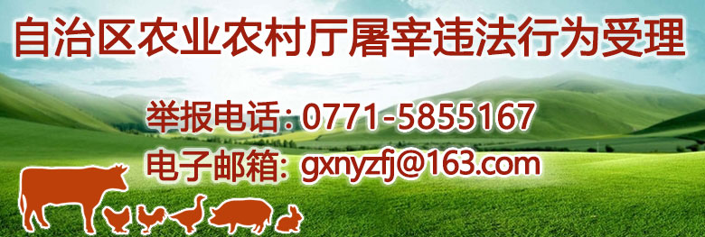 自治区农业农村厅违反动物防疫和生猪屠宰法律法规行为举报联系方式